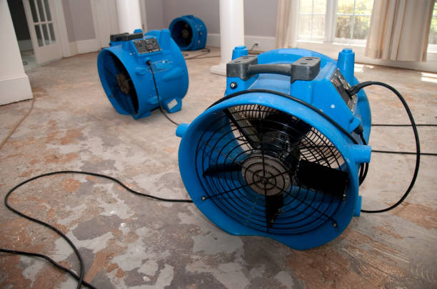  North Hobbs, NM Water damage restoration Pros