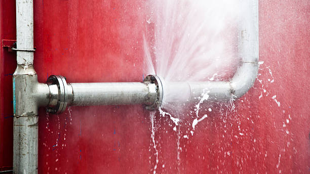 Best Flood damage cleanup  in North Hobbs, NM